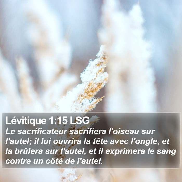 Lévitique 1:15 LSG Bible Study