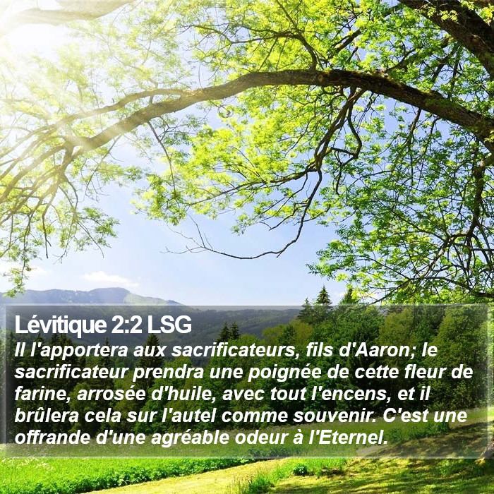 Lévitique 2:2 LSG Bible Study