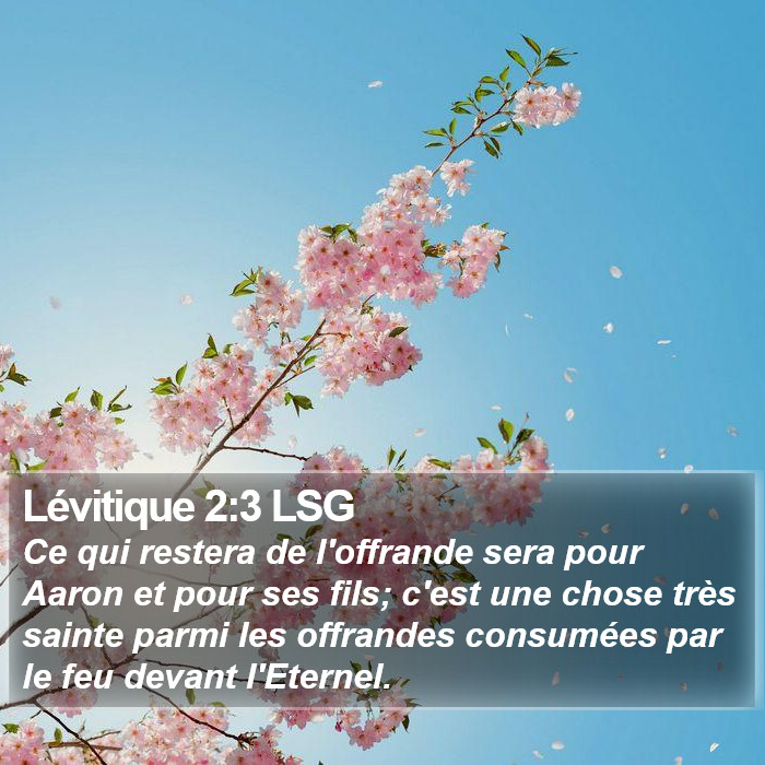 Lévitique 2:3 LSG Bible Study