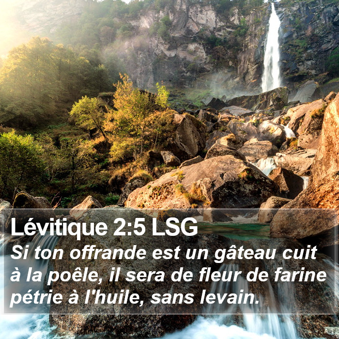 Lévitique 2:5 LSG Bible Study