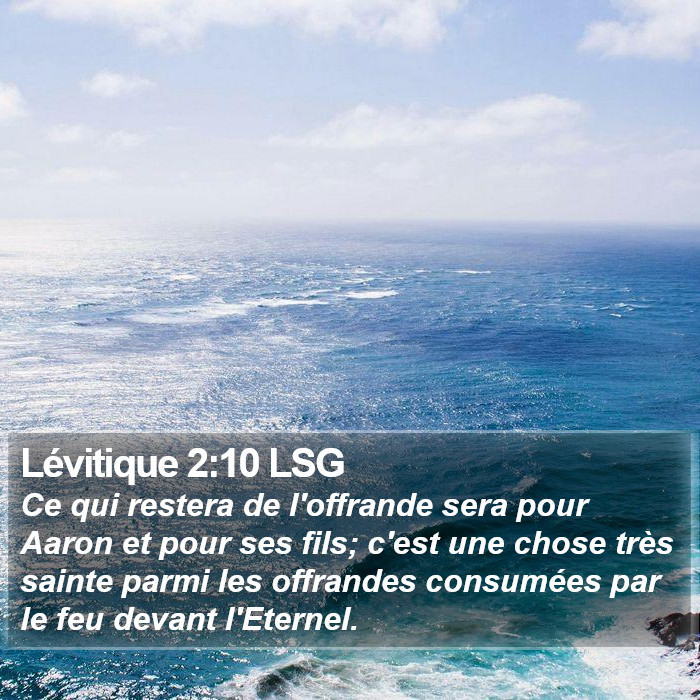 Lévitique 2:10 LSG Bible Study