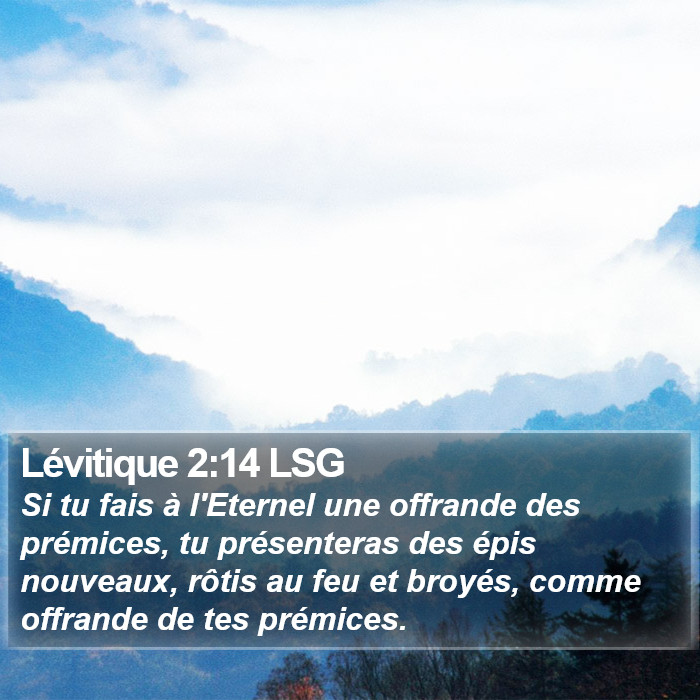 Lévitique 2:14 LSG Bible Study