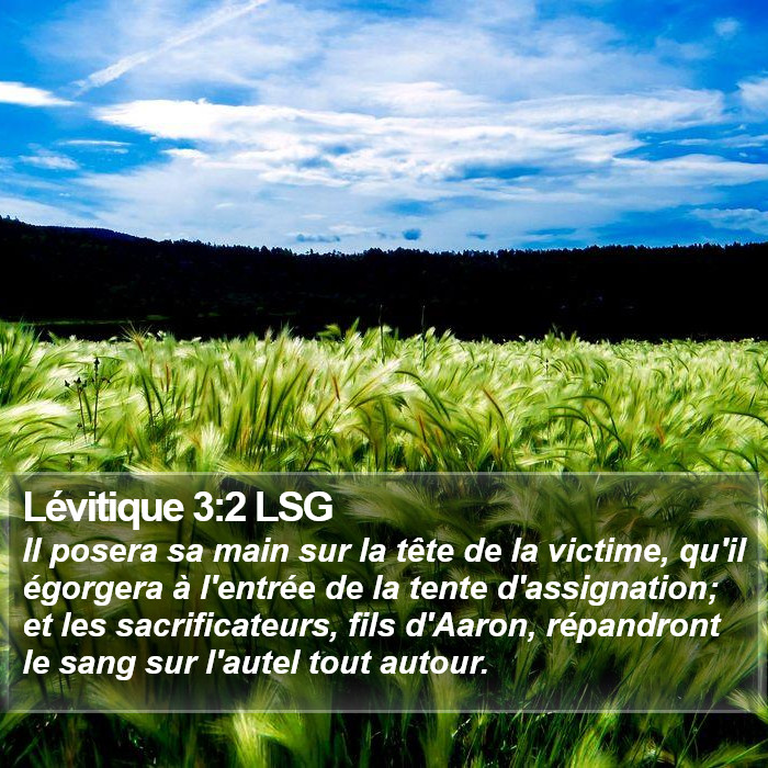 Lévitique 3:2 LSG Bible Study
