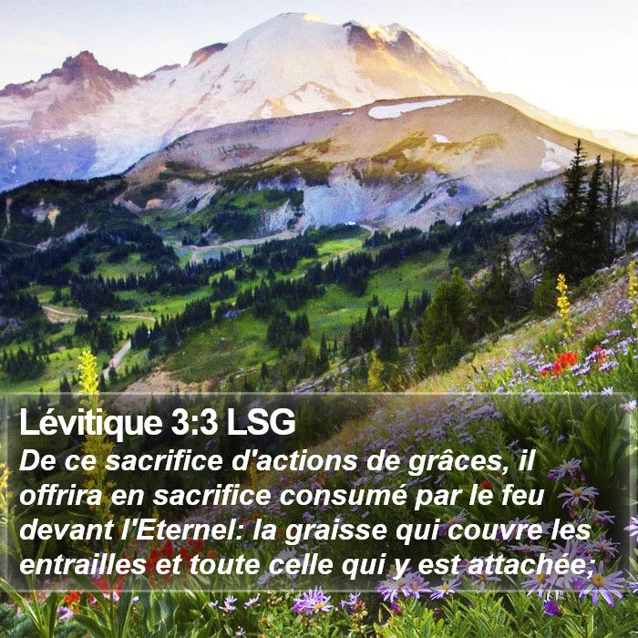Lévitique 3:3 LSG Bible Study