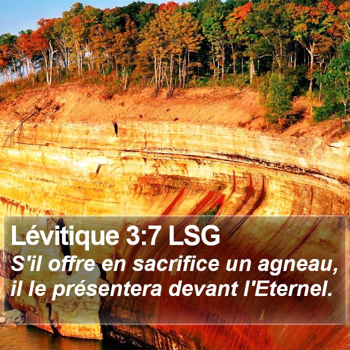 Lévitique 3:7 LSG Bible Study