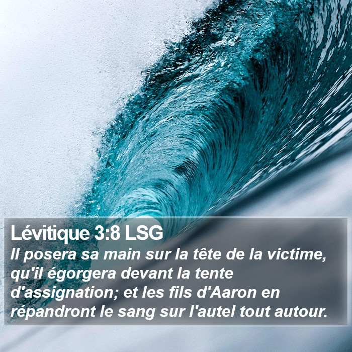Lévitique 3:8 LSG Bible Study