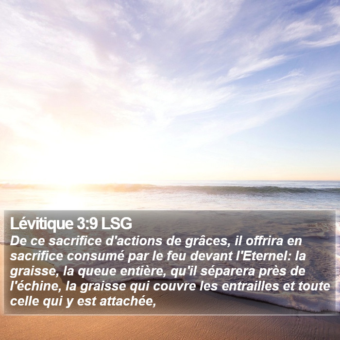 Lévitique 3:9 LSG Bible Study