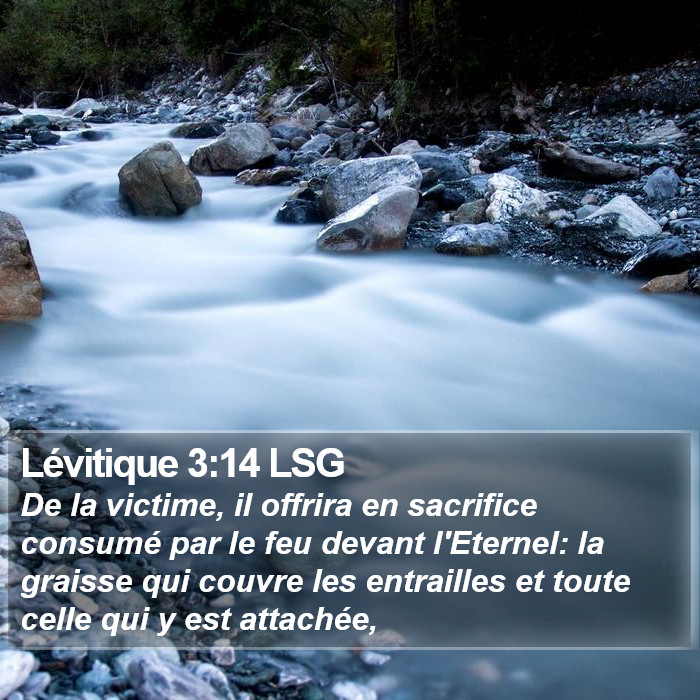Lévitique 3:14 LSG Bible Study