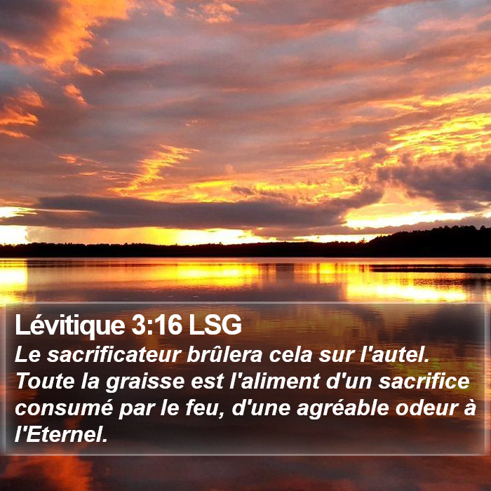 Lévitique 3:16 LSG Bible Study