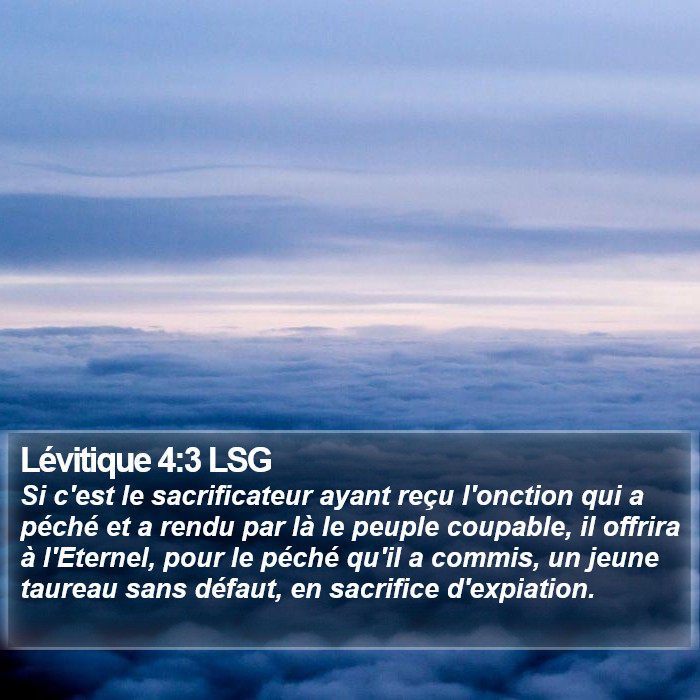 Lévitique 4:3 LSG Bible Study