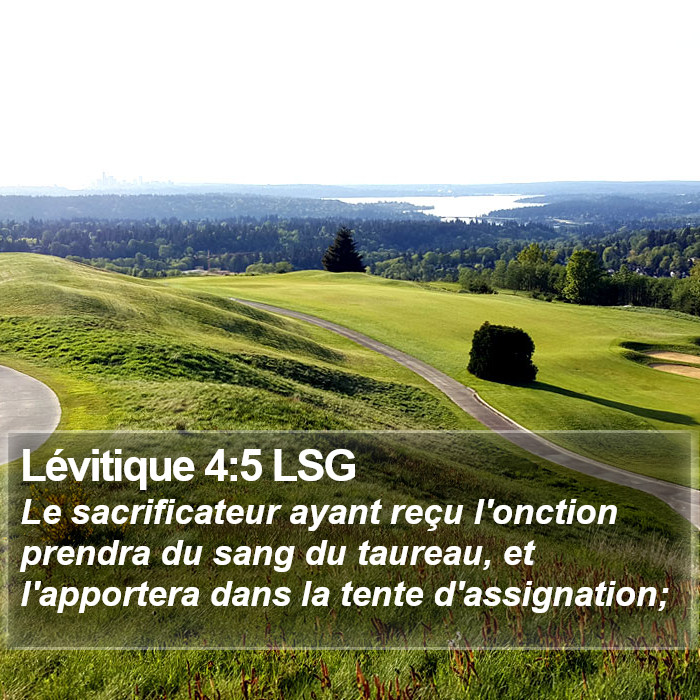 Lévitique 4:5 LSG Bible Study