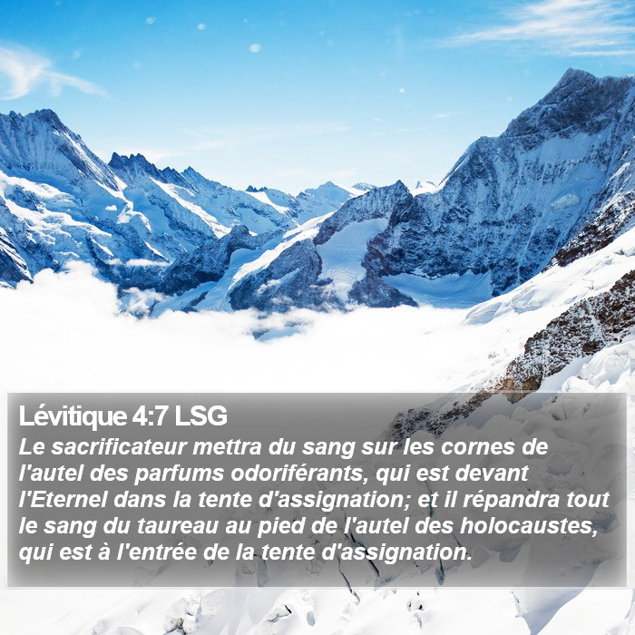 Lévitique 4:7 LSG Bible Study