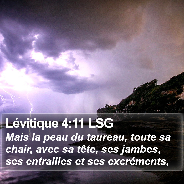 Lévitique 4:11 LSG Bible Study