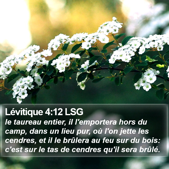 Lévitique 4:12 LSG Bible Study