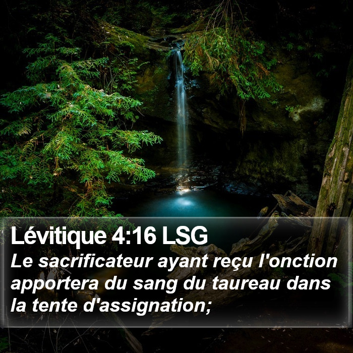 Lévitique 4:16 LSG Bible Study