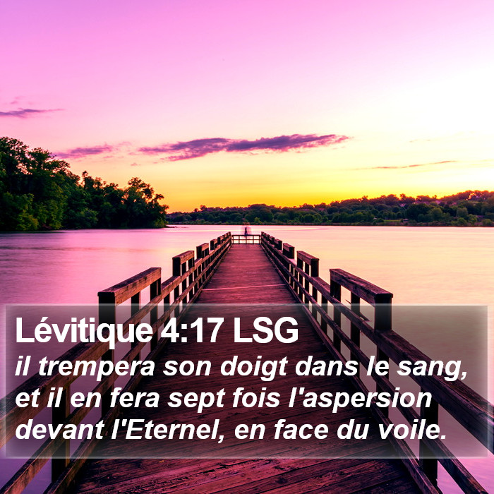 Lévitique 4:17 LSG Bible Study
