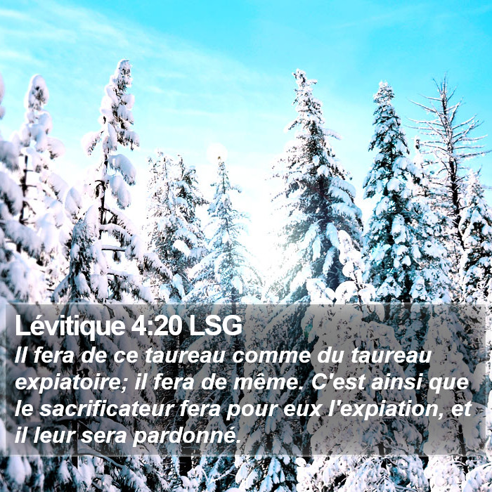 Lévitique 4:20 LSG Bible Study
