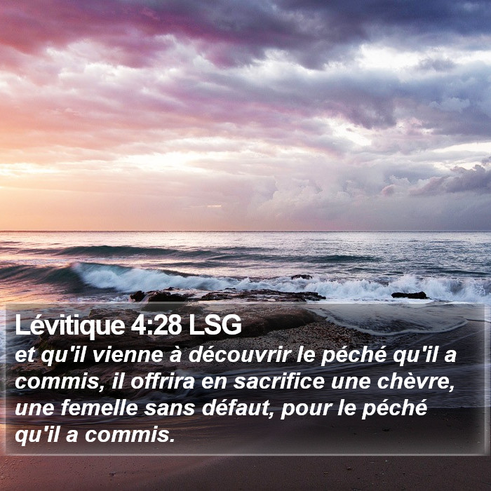 Lévitique 4:28 LSG Bible Study