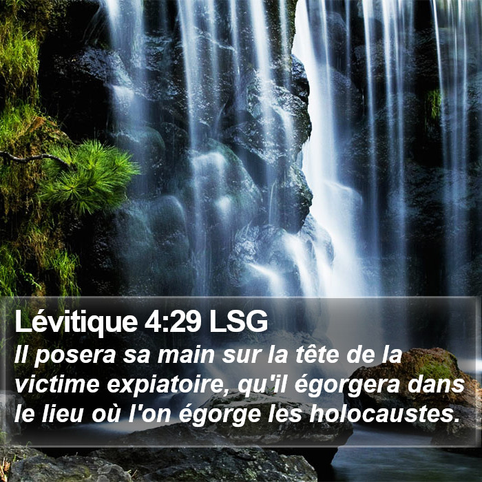 Lévitique 4:29 LSG Bible Study