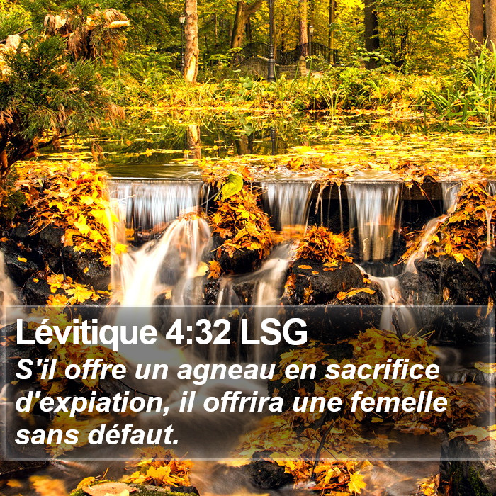 Lévitique 4:32 LSG Bible Study