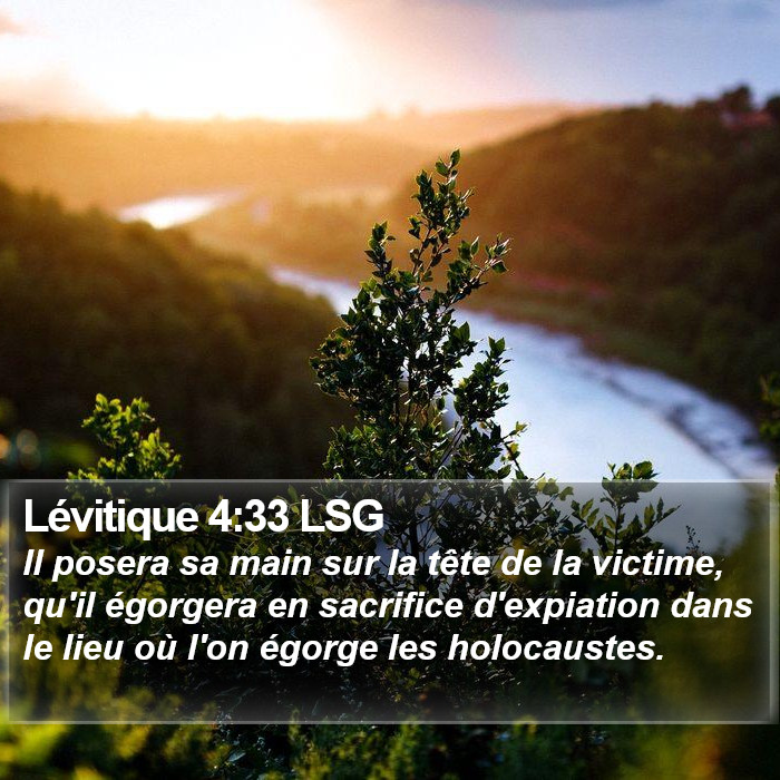 Lévitique 4:33 LSG Bible Study