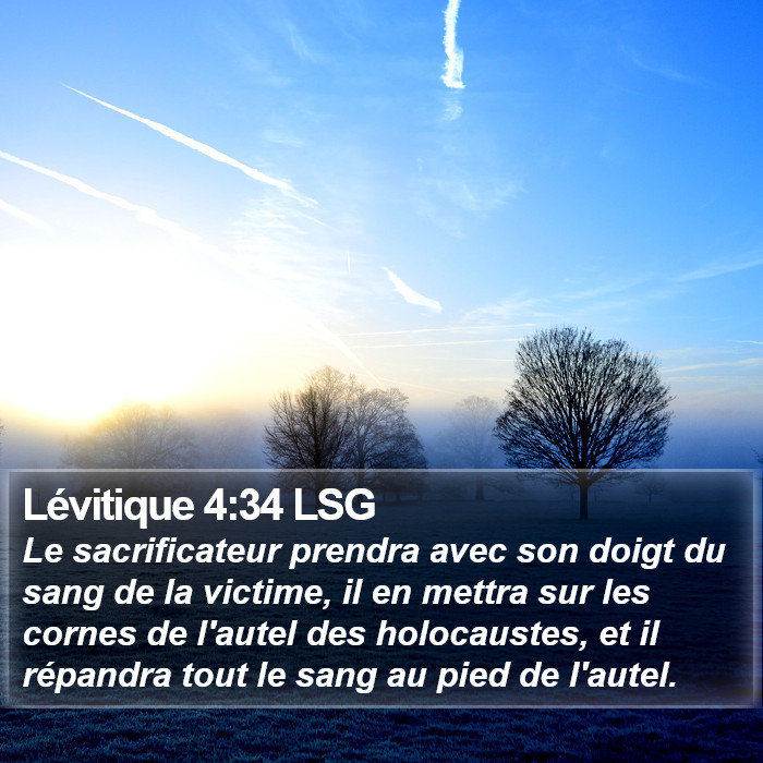 Lévitique 4:34 LSG Bible Study