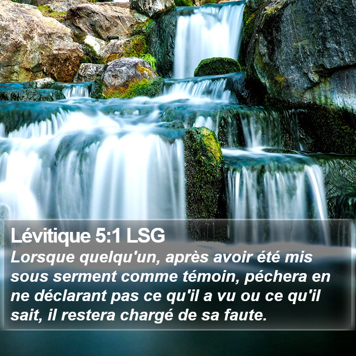 Lévitique 5:1 LSG Bible Study