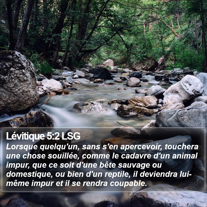 Lévitique 5:2 LSG Bible Study