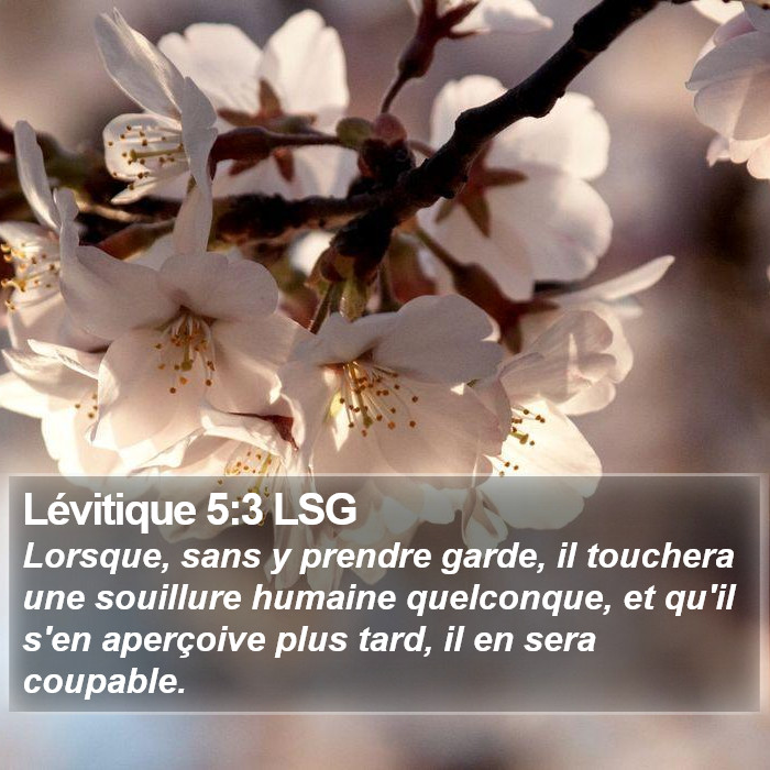 Lévitique 5:3 LSG Bible Study