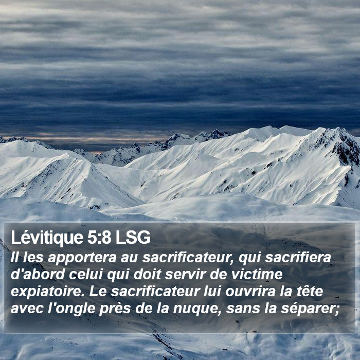 Lévitique 5:8 LSG Bible Study