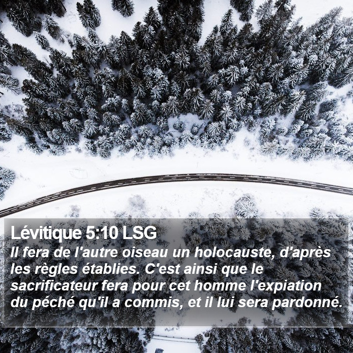 Lévitique 5:10 LSG Bible Study