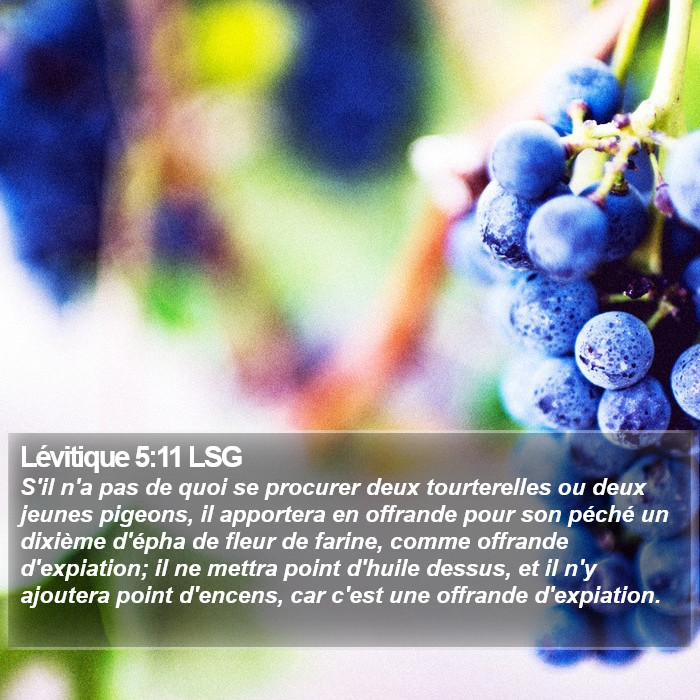 Lévitique 5:11 LSG Bible Study