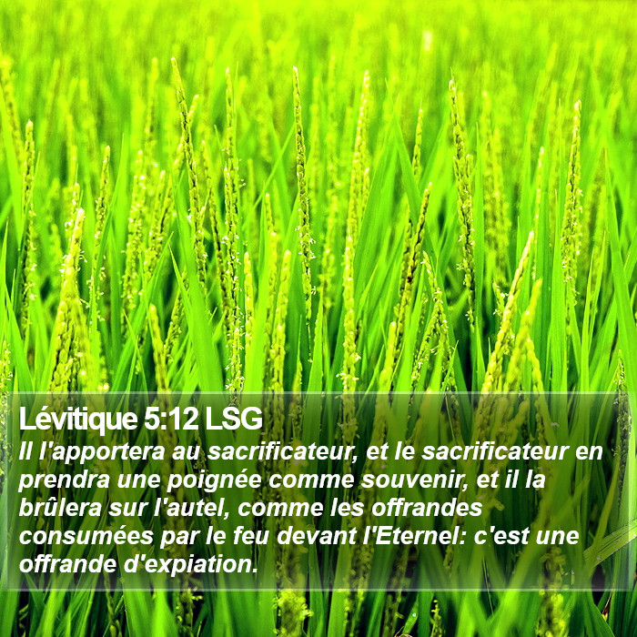 Lévitique 5:12 LSG Bible Study