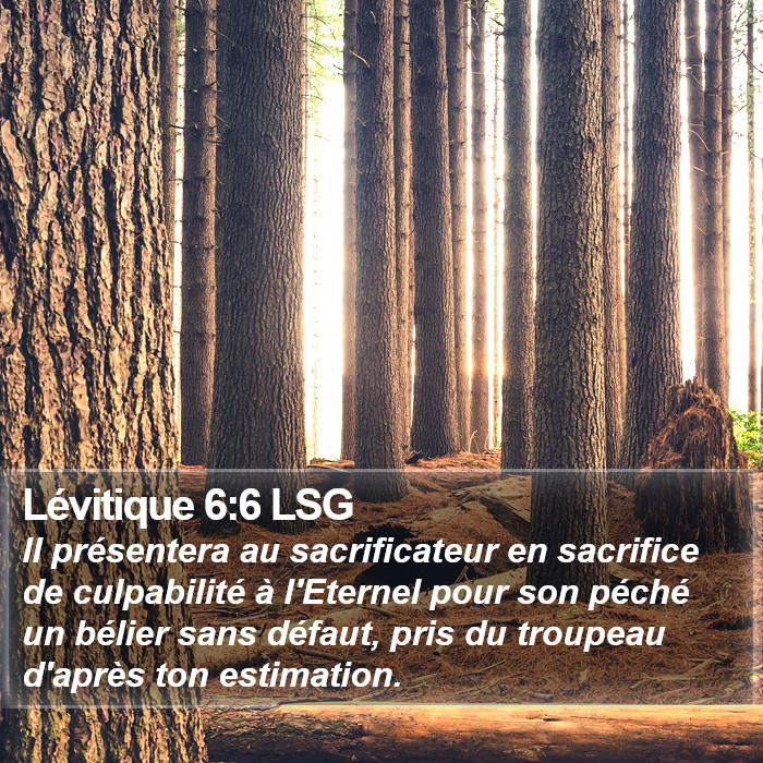 Lévitique 6:6 LSG Bible Study