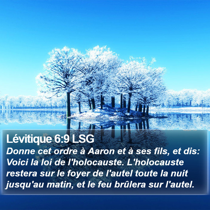 Lévitique 6:9 LSG Bible Study