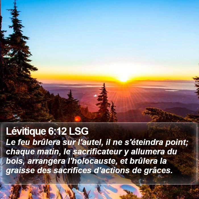 Lévitique 6:12 LSG Bible Study