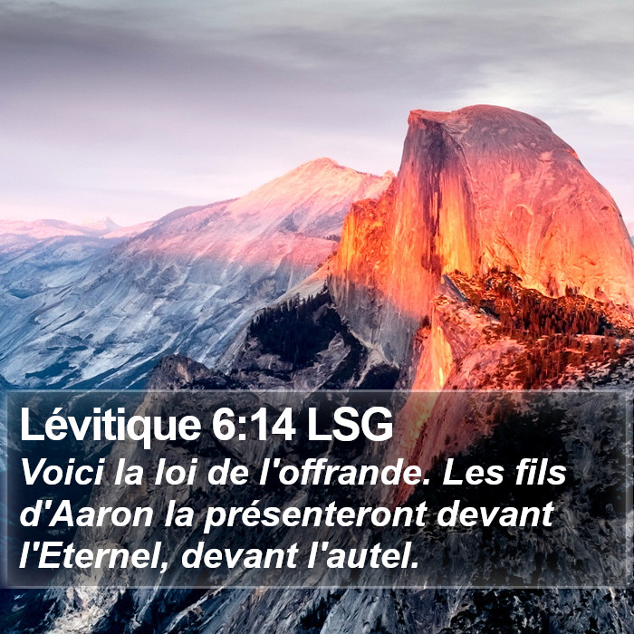 Lévitique 6:14 LSG Bible Study