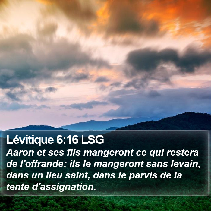 Lévitique 6:16 LSG Bible Study