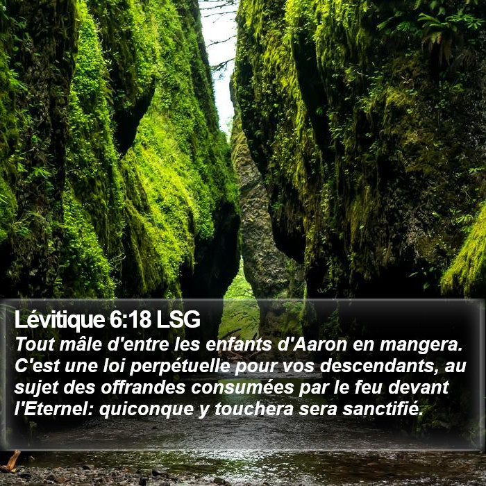 Lévitique 6:18 LSG Bible Study