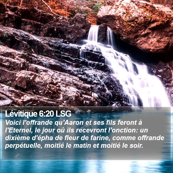 Lévitique 6:20 LSG Bible Study