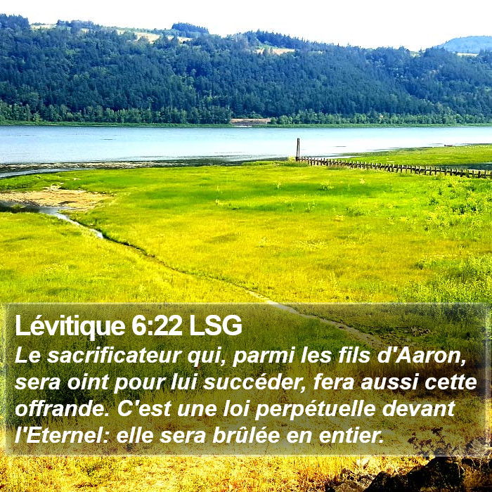 Lévitique 6:22 LSG Bible Study