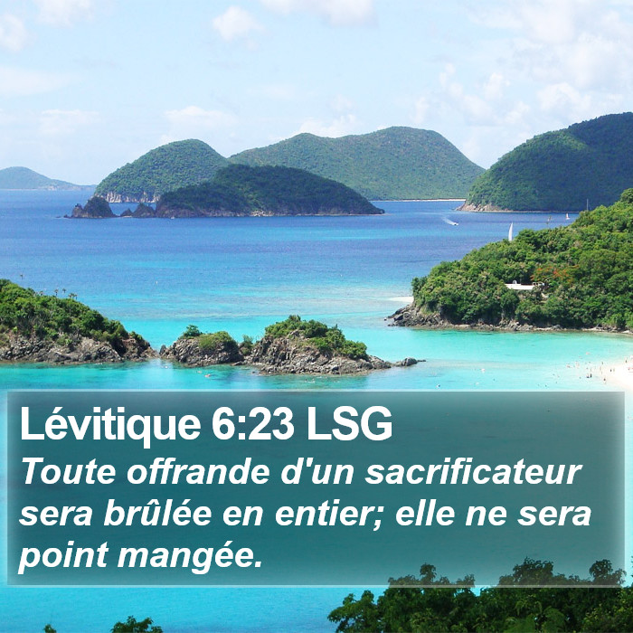 Lévitique 6:23 LSG Bible Study