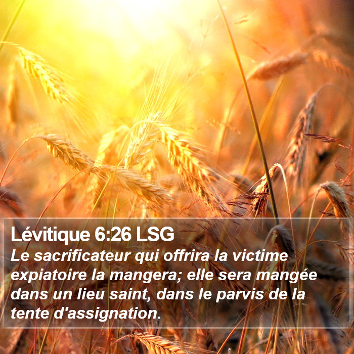 Lévitique 6:26 LSG Bible Study