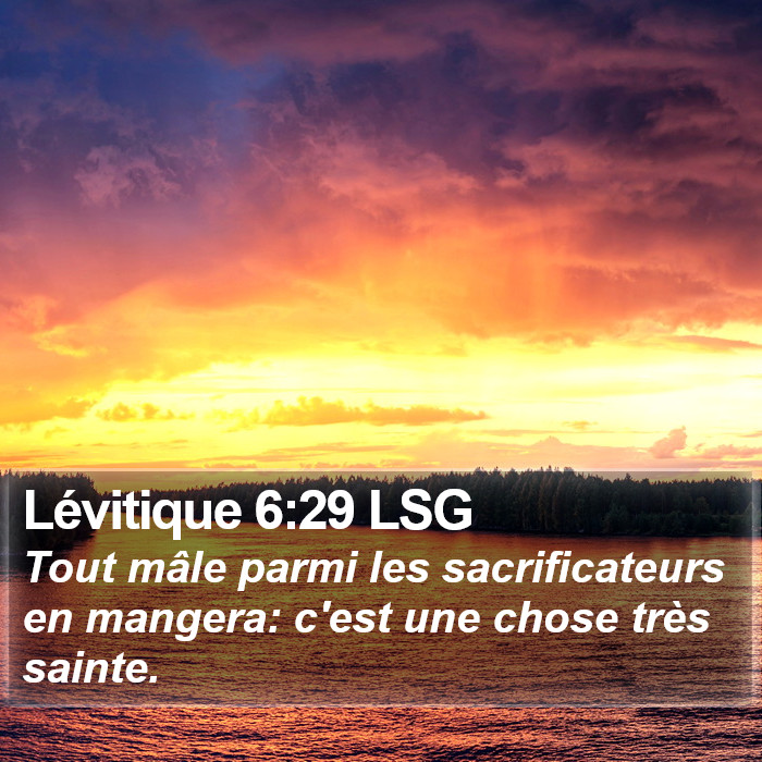 Lévitique 6:29 LSG Bible Study