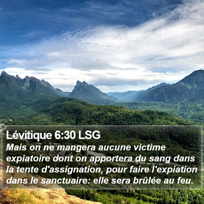 Lévitique 6:30 LSG Bible Study