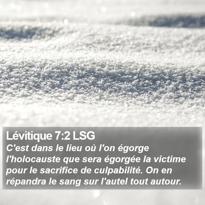 Lévitique 7:2 LSG Bible Study