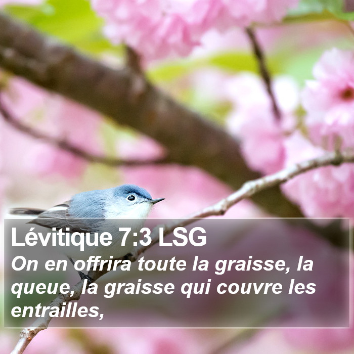 Lévitique 7:3 LSG Bible Study