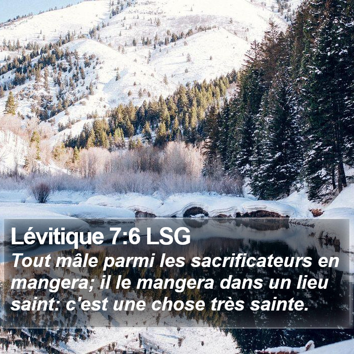 Lévitique 7:6 LSG Bible Study