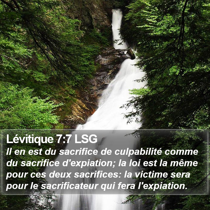 Lévitique 7:7 LSG Bible Study
