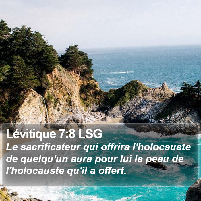 Lévitique 7:8 LSG Bible Study